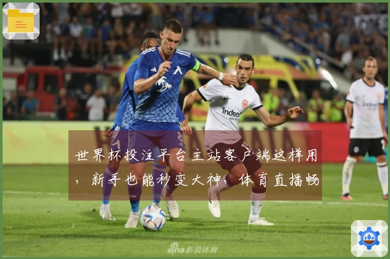 世界杯投注平台主站客户端这样用，新手也能秒变大神，体育直播畅玩无忧