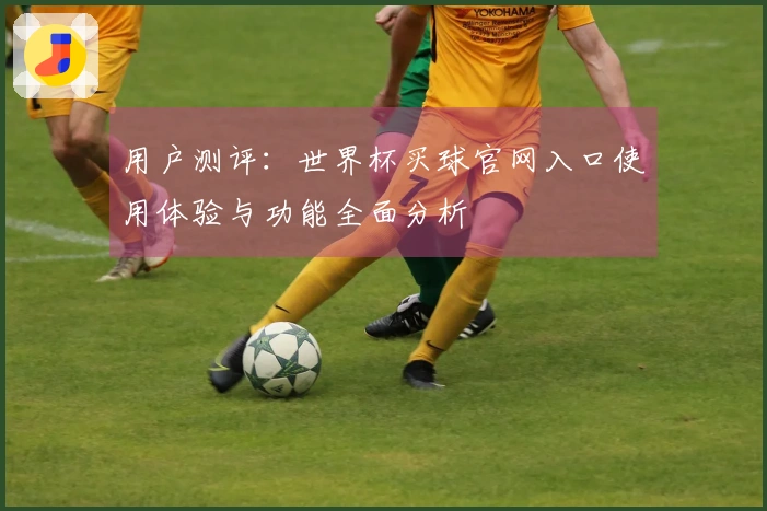 用户测评：世界杯买球官网入口使用体验与功能全面分析