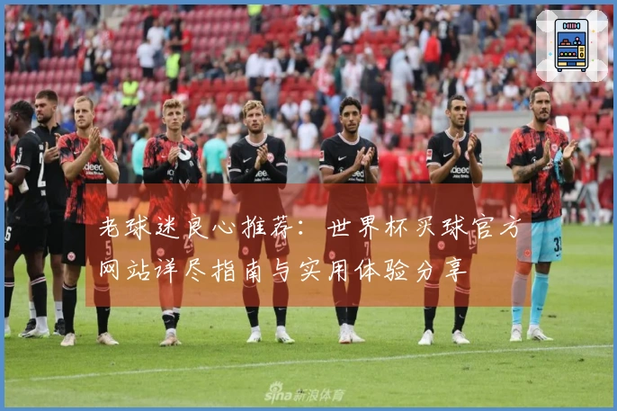 老球迷良心推荐：世界杯买球官方网站详尽指南与实用体验分享