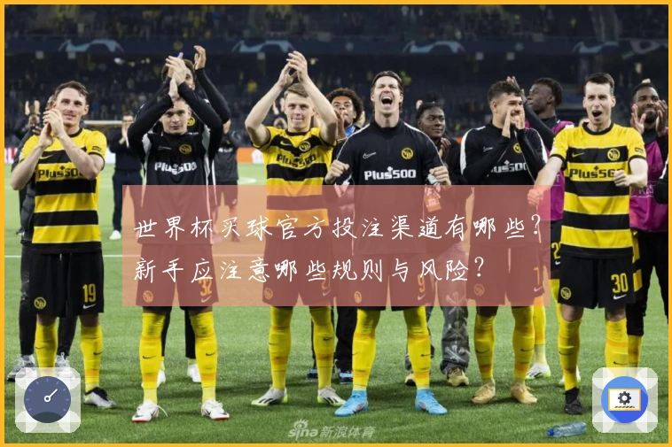 世界杯买球官方投注渠道有哪些？新手应注意哪些规则与风险？