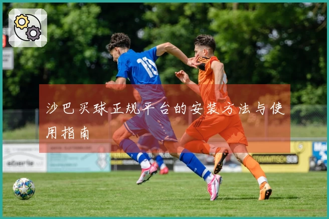 沙巴买球正规平台的安装方法与使用指南