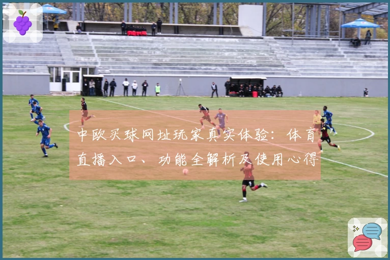 中欧买球网址玩家真实体验：体育直播入口、功能全解析及使用心得分享