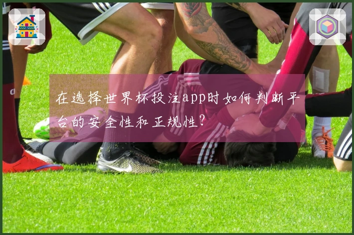 在选择世界杯投注app时如何判断平台的安全性和正规性？