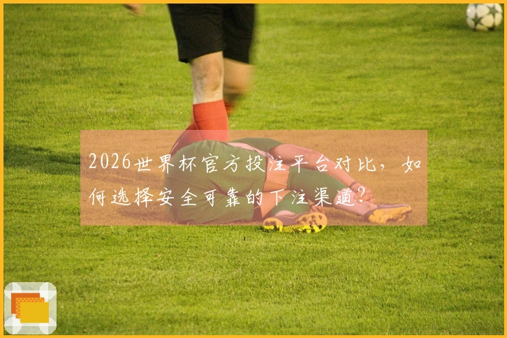 2026世界杯官方投注平台对比，如何选择安全可靠的下注渠道？