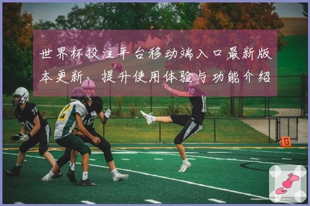 世界杯投注平台移动端入口最新版本更新，提升使用体验与功能介绍