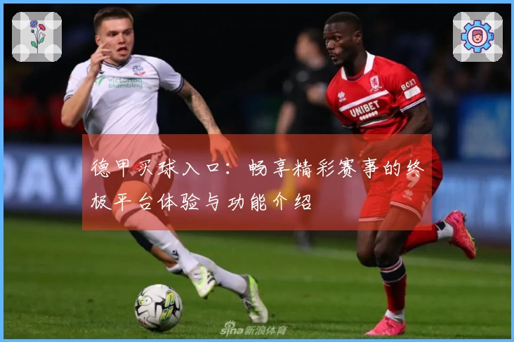 德甲买球入口：畅享精彩赛事的终极平台体验与功能介绍