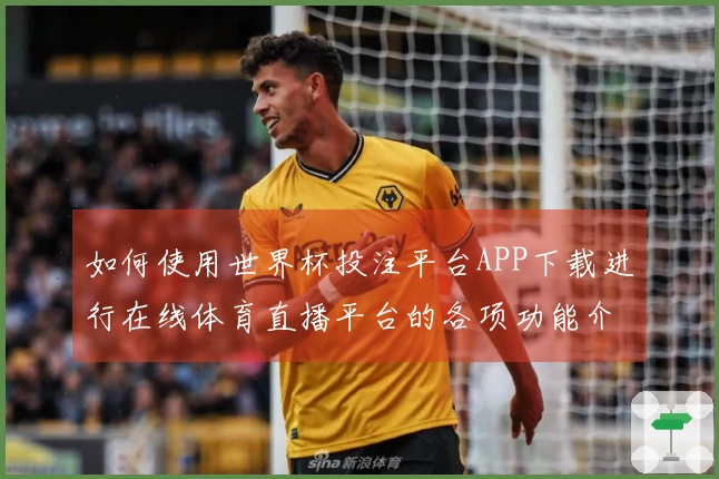 如何使用世界杯投注平台APP下载进行在线体育直播平台的各项功能介绍