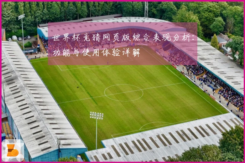 世界杯竞猜网页版综合表现分析：功能与使用体验详解