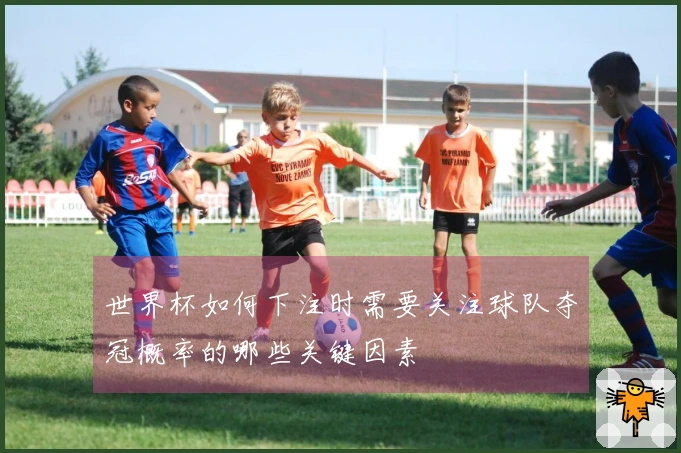 世界杯如何下注时需要关注球队夺冠概率的哪些关键因素