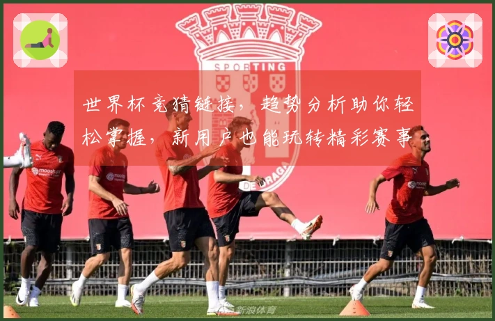 世界杯竞猜链接，趋势分析助你轻松掌握，新用户也能玩转精彩赛事。